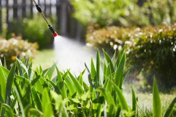 24/7 Emergency Mosquito Control experts in Boonville, NC