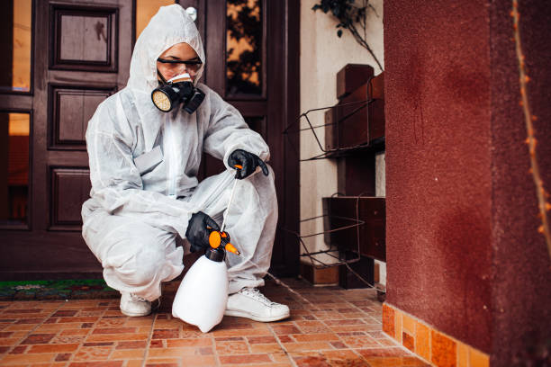 Reliable Mosquito Control contractor in Boonville, NC by Show Me Pest Control